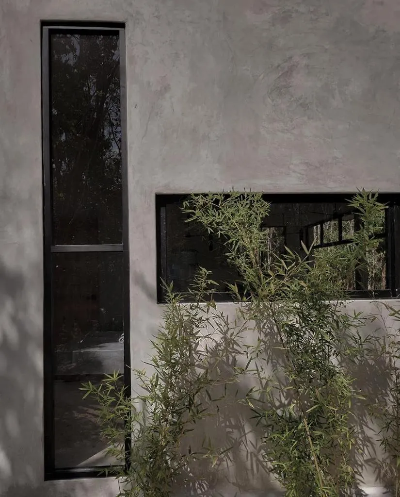 ヴィラ Hermosa Casa Con Piscina Privada トゥルム