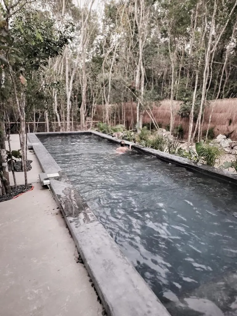 ヴィラ Hermosa Casa Con Piscina Privada トゥルム メキシコ