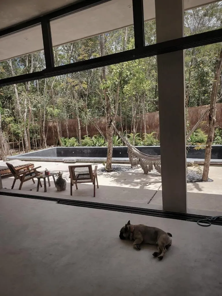 Hermosa Casa Con Piscina Privada Tulum 0*,  Mexico