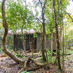 Сasa de vacaciones Ojo De Agua. Design+pool. Vive La Autentica Selva!, Tulum
