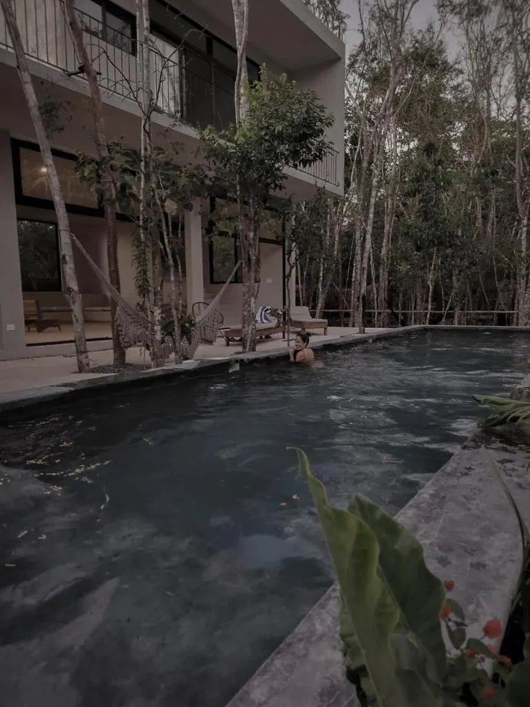 Vila Hermosa Casa Con Piscina Privada Tulum